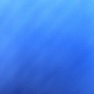 Meet your Posher, Keona